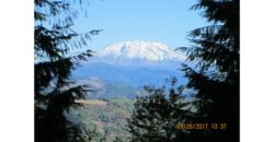 04113  Awesome Mount St Helens View on Quiet Loop