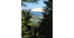 04113  Awesome Mount St Helens View on Quiet Loop