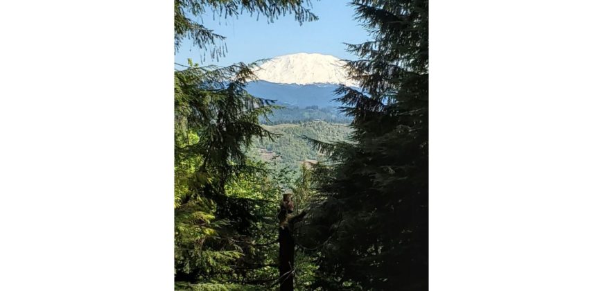 04113  Awesome Mount St Helens View on Quiet Loop