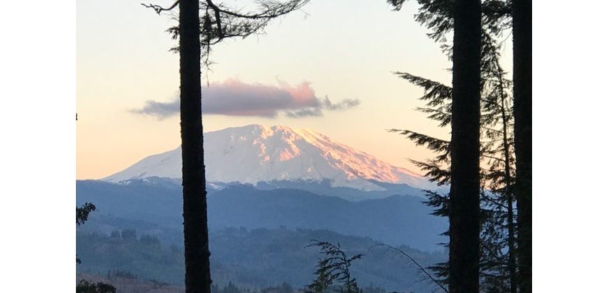 21133  Panoramic Site, Views of Lake and Mt. St. Helens