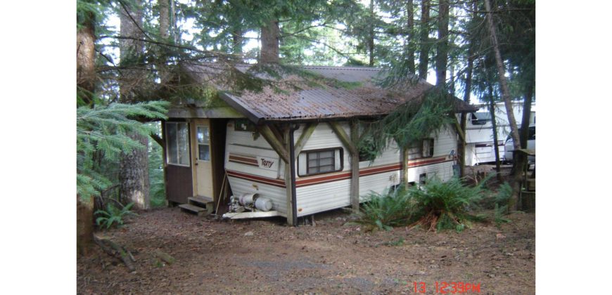 21133  Panoramic Site, Views of Lake and Mt. St. Helens