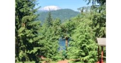 10031  Views of Mt St Helens and Lake Merwin