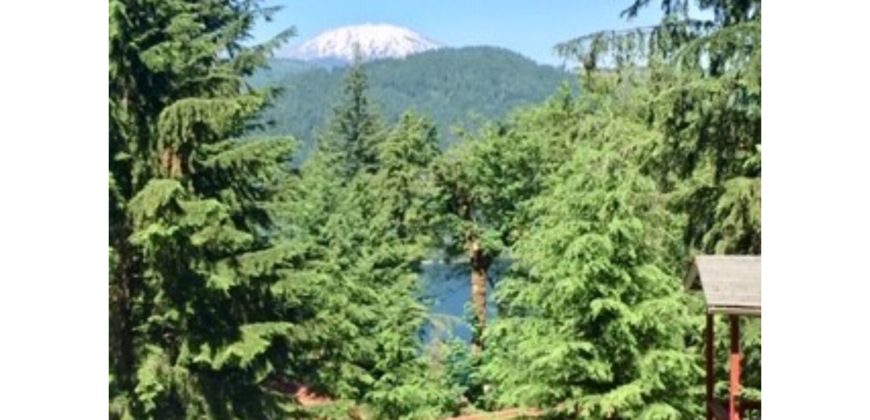 10031  Views of Mt St Helens and Lake Merwin