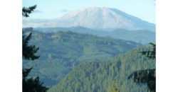 05069  Unobstructed View Of Mt St Helens/Lake