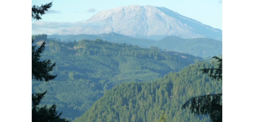 05069  Unobstructed View Of Mt St Helens/Lake