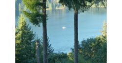 05069  Unobstructed View Of Mt St Helens/Lake