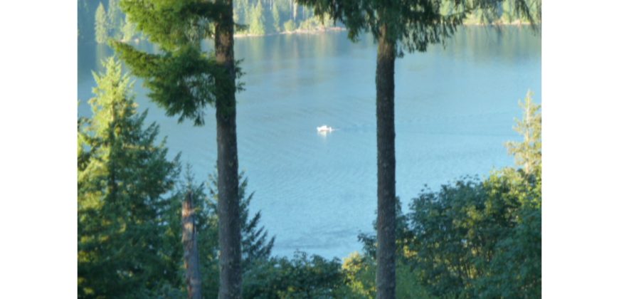 05069  Unobstructed View Of Mt St Helens/Lake