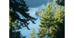 05069  Unobstructed View Of Mt St Helens/Lake