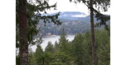 12009  Beautiful View of Lake Merwin