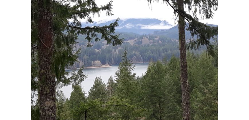 12009  Beautiful View of Lake Merwin