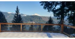 03004  Unobstructed Views of Mt St Helens and Lake.