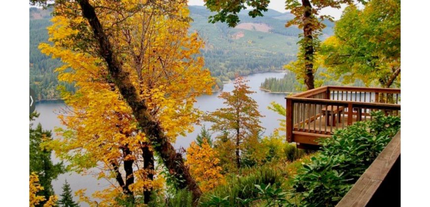 10052  Gorgeous lake, mountain, and forest views from wrap-a-round decks