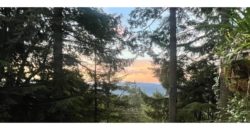 21076  Mountain Majesty, Secluded, Totally Private