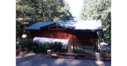 11075  Beautiful Views of Lake Merwin