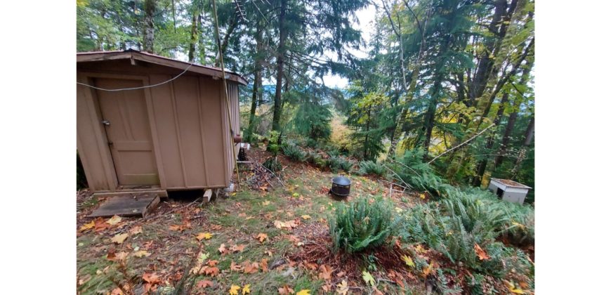 21104  Cute Vintage RV with Forest in Your Back Yard