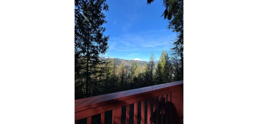 19056  Outstanding Mountain & Lake Views