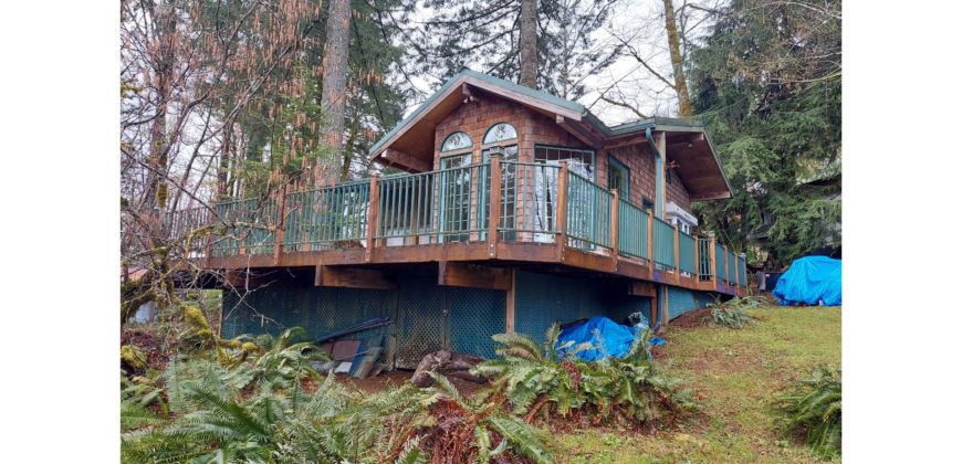 20072  Mountain Top Chalet in the woods