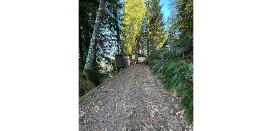 19056  Outstanding Mountain & Lake Views