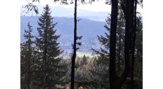 21126  Bare Site with View of Chelatchie Valley