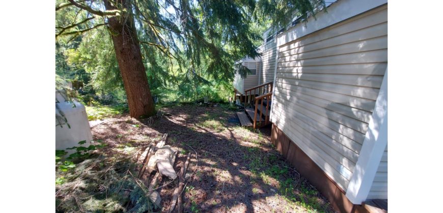 21014  Tiny Home in the Woods