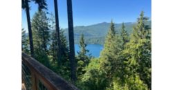 11060  Full View of the Lake and Mountain