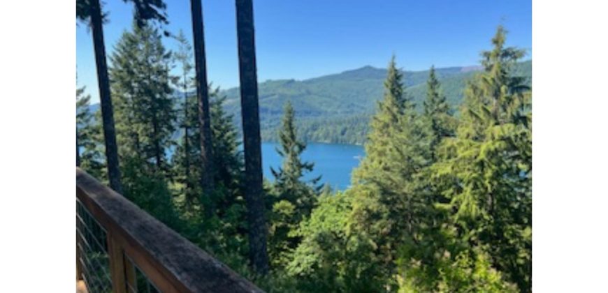 11060  Full View of the Lake and Mountain