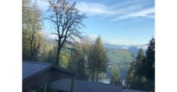 19029  Beautiful Knotty Pine Cabin Like Setting with Mount St. Helens View