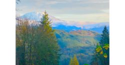 19029  Beautiful Knotty Pine Cabin Like Setting with Mount St. Helens View