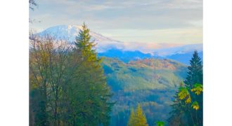 19029  Beautiful Knotty Pine Cabin Like Setting with Mount St. Helens View