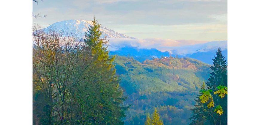 19029  Beautiful Knotty Pine Cabin Like Setting with Mount St. Helens View