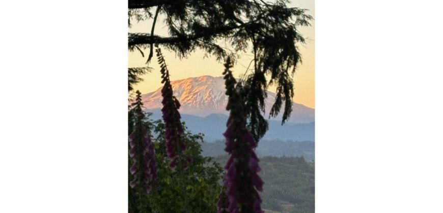 04122  Glamping with Beautiful Views of Mount St. Helens