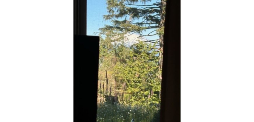 04122  Glamping with Beautiful Views of Mount St. Helens