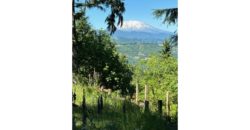 04122  Glamping with Beautiful Views of Mount St. Helens