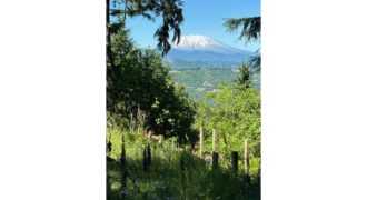 04122  Glamping with Beautiful Views of Mount St. Helens