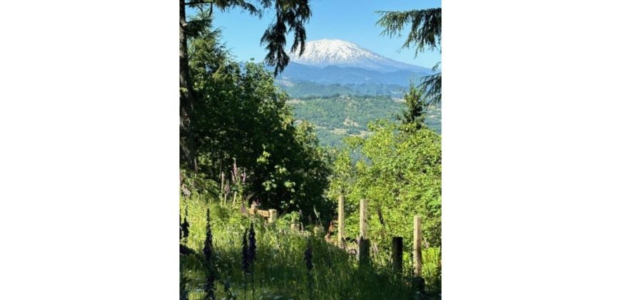 04122  Glamping with Beautiful Views of Mount St. Helens