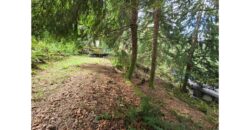 21080  LMCH Owned Top of the World, Entry Level Site