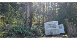 12067  LMCH-Owned Campsite Amongst Beautiful Moss Covered Boulders