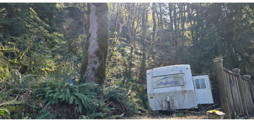 12067  LMCH-Owned Campsite Amongst Beautiful Moss Covered Boulders
