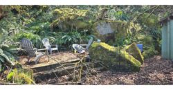12067  LMCH-Owned Campsite Amongst Beautiful Moss Covered Boulders