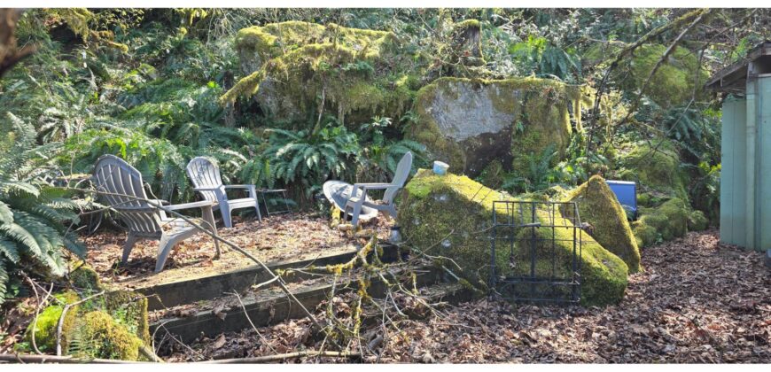 12067  LMCH-Owned Campsite Amongst Beautiful Moss Covered Boulders