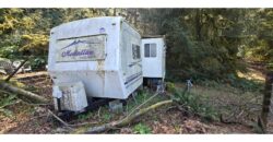 12067  LMCH-Owned Campsite Amongst Beautiful Moss Covered Boulders