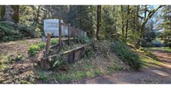 12067  LMCH-Owned Campsite Amongst Beautiful Moss Covered Boulders