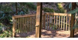 12035  LMCH-Owned  Whimsical Charm