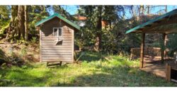12035  LMCH-Owned  Whimsical Charm