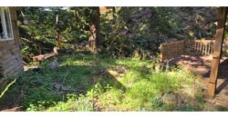 12035  LMCH-Owned  Whimsical Charm