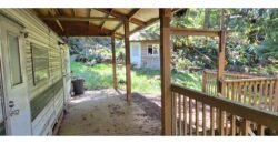 12035  LMCH-Owned  Whimsical Charm