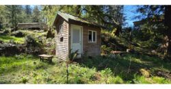 12035  LMCH-Owned  Whimsical Charm