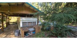 12035  LMCH-Owned  Whimsical Charm