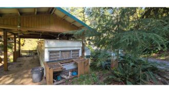 12035  LMCH-Owned  Whimsical Charm
