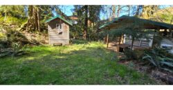 12035  LMCH-Owned  Whimsical Charm